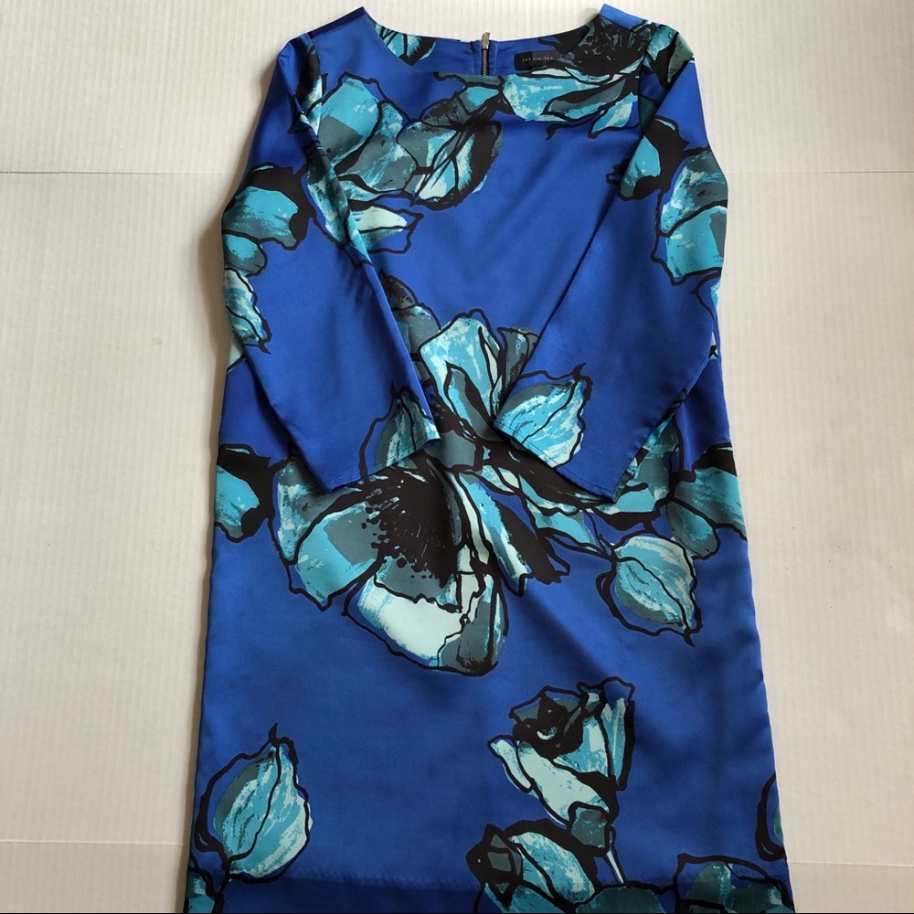 The Limited dress EUC
